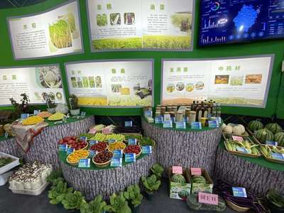 超級稻品種數量全國第一 種業發展助力浙江農業提質增收