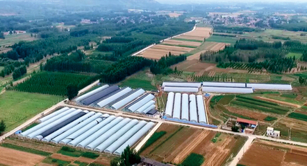 山東宇泰生物種業 聚焦種業創新，助力農業強國建設