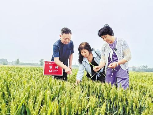 國家級展會賦能，洞見中國種業發展的新機遇